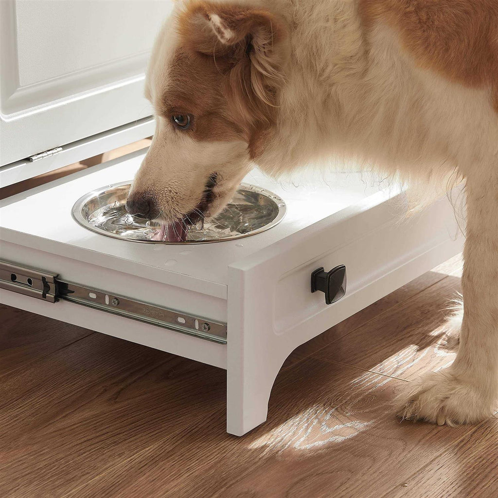 Modern Pet Feeding Station with 2 Elevated Dog Bowls Z998