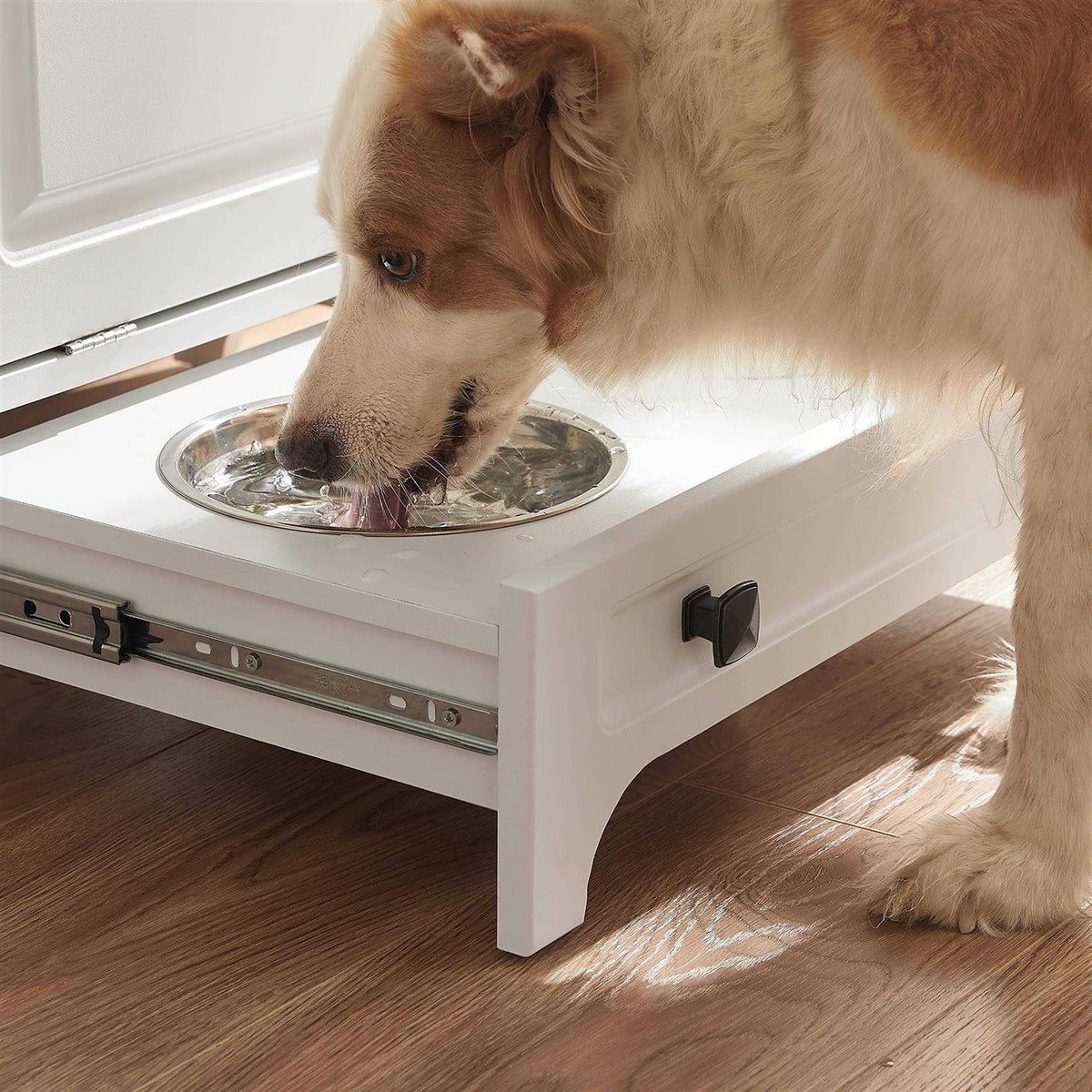 Modern Pet Feeding Station with 2 Elevated Dog Bowls Z998