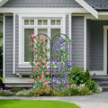 Black Metal Garden Arch Trellises 2 Pack S485651