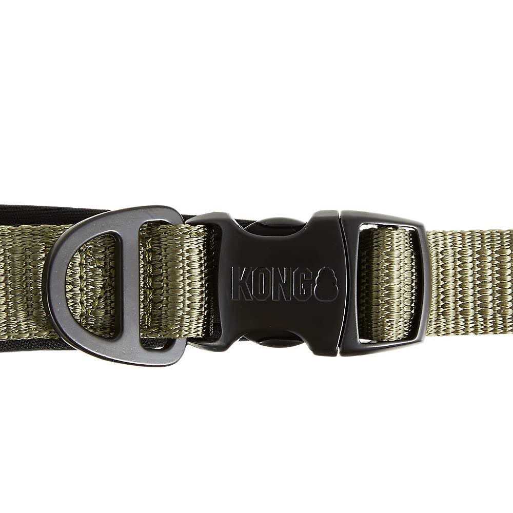 Hands-Free Dog Leash 6-ft Green V525