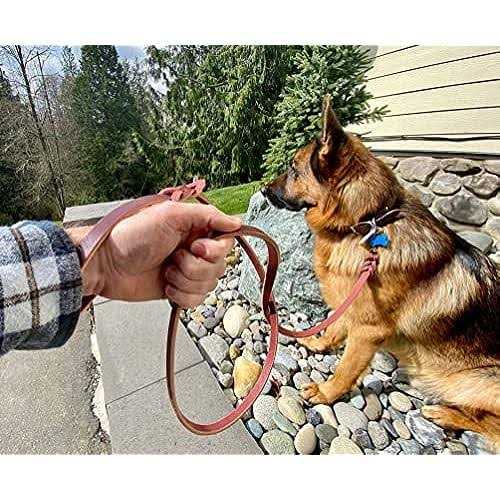6 FT Braided Leather Dog Leash U40397
