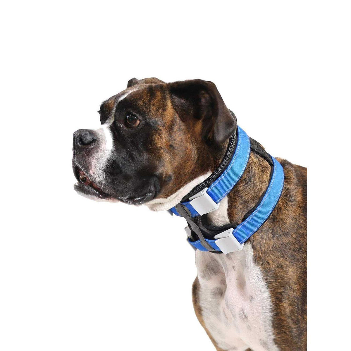 Training Collar A58170