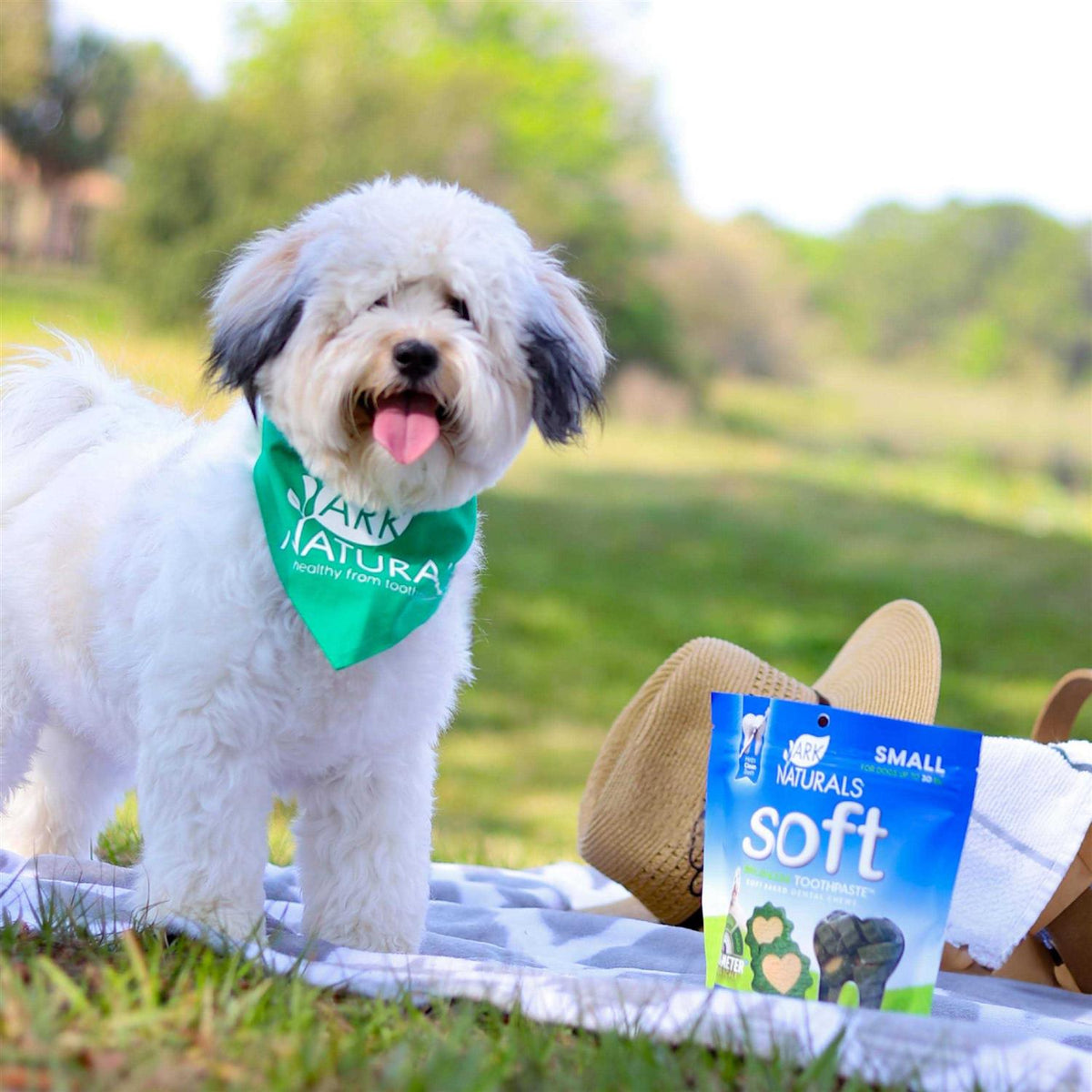 Dog Toothpaste S631