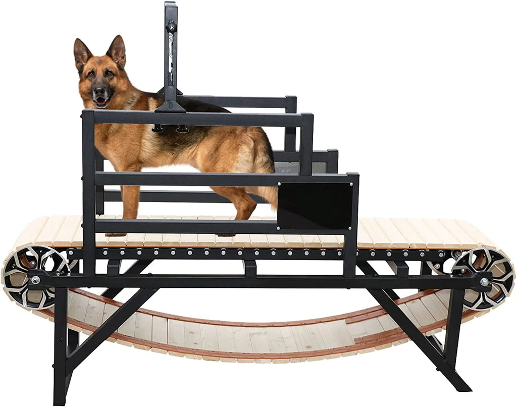 Dog Treadmill 10MPH C42574