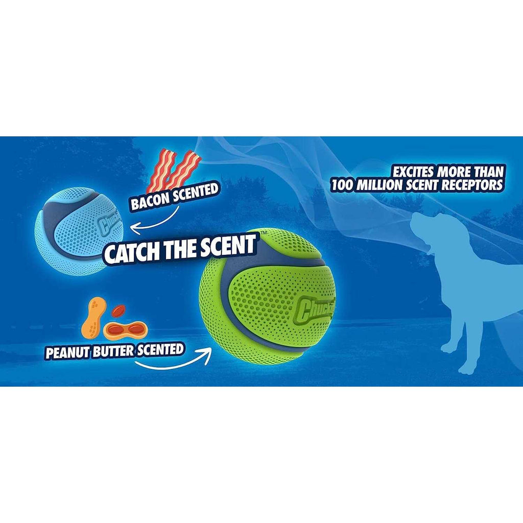 Sniff Fetch Ball Dog Toy B566