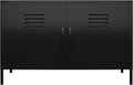 White 2 Door Metal Accent Cabinet V1758
