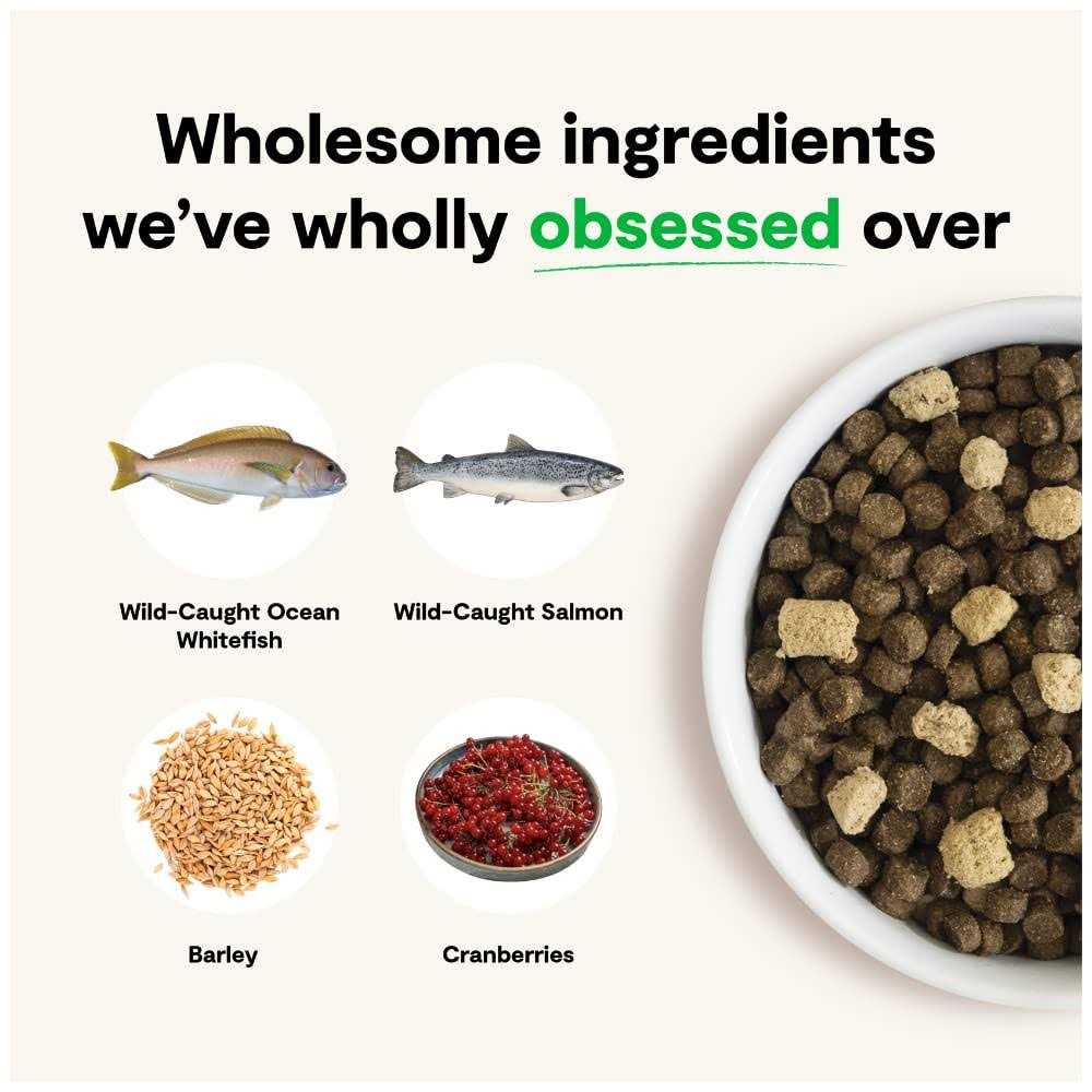 Wild Ocean Ancient Grains Dog Food A84210