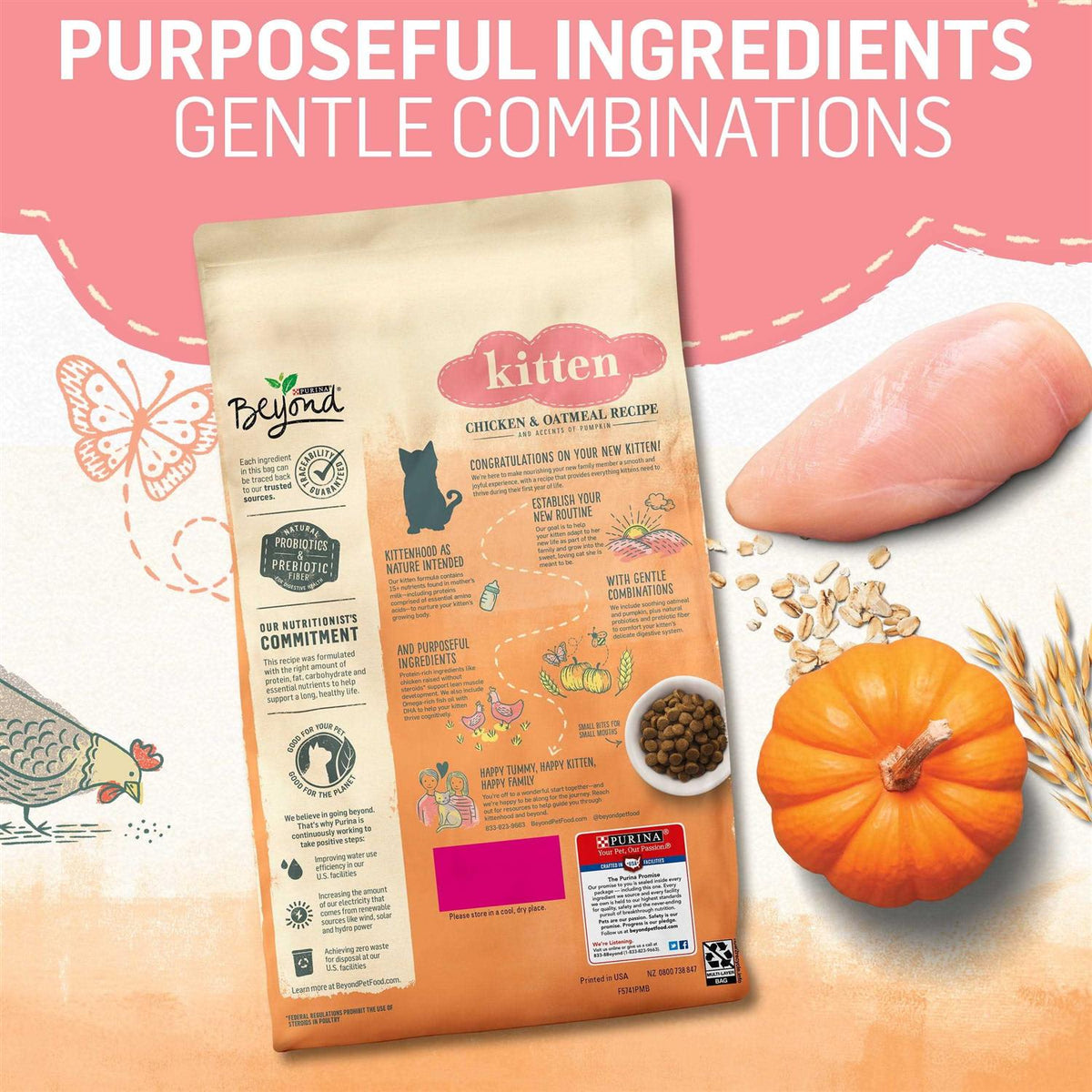 Natural Kitten Food Chicken & Oatmeal P8091
