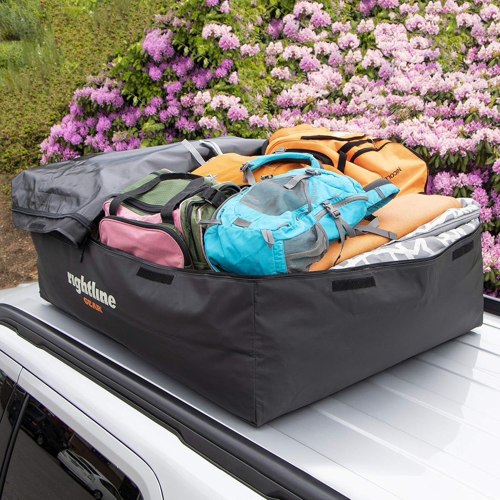 Weatherproof Car Top Carrier, 18 cu ft D760