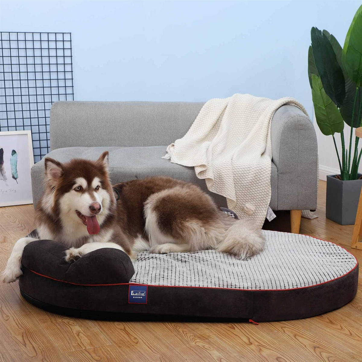 Oval Dog Bed M85729