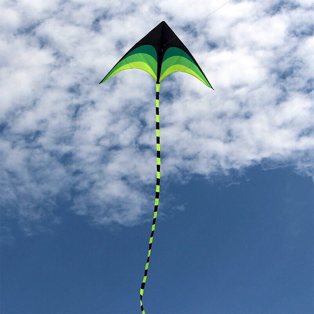 Giant Kite with Tail and String Q54666