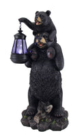Bear Cub Statue and Solar LED Lantern D11744
