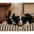 Vintage Stripe Envelope Dog Bed N7695