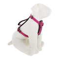 Padded Dog Harness S9929
