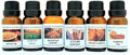 6 Bottles Set Apple Pie Autumn Harvest Harvest Spice Mountain Leaves Pumpkin Pie Spiced Pumpkin 1/2 Fl Oz Each Scented Fragrance Oils I36458