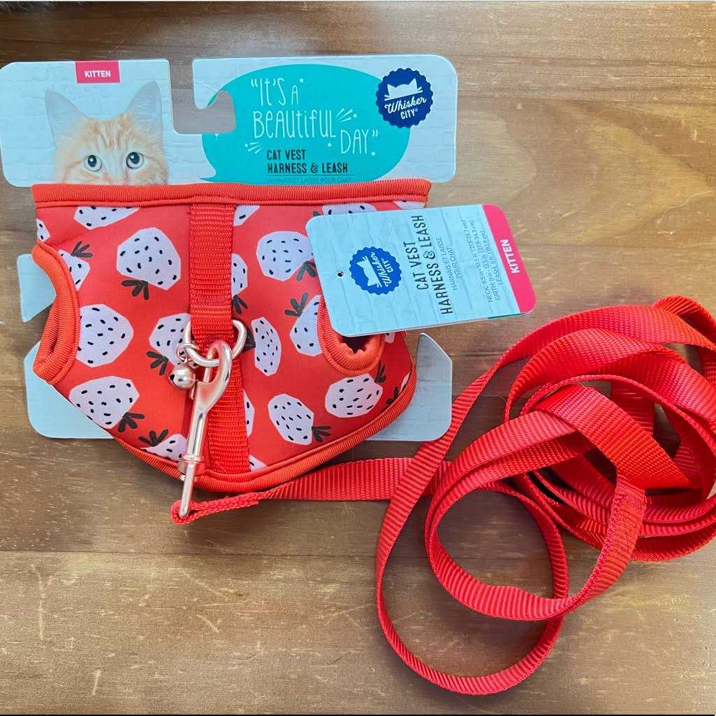 Cat Leash and Harness Combo J63862