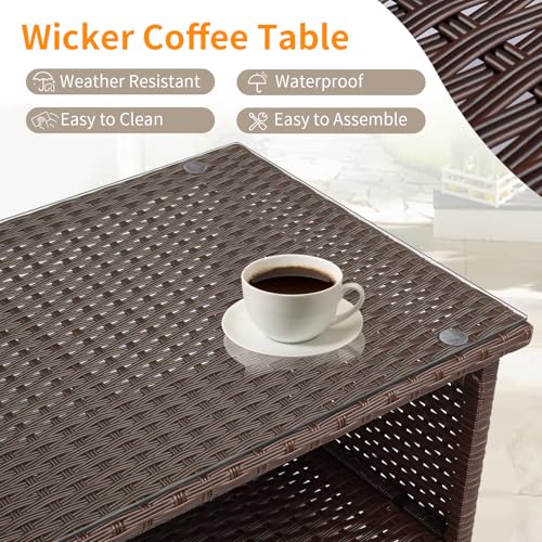 Brown Wicker Coffee Table with Storage F3705