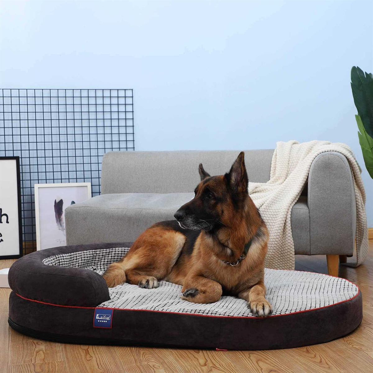 Oval Dog Bed M85729