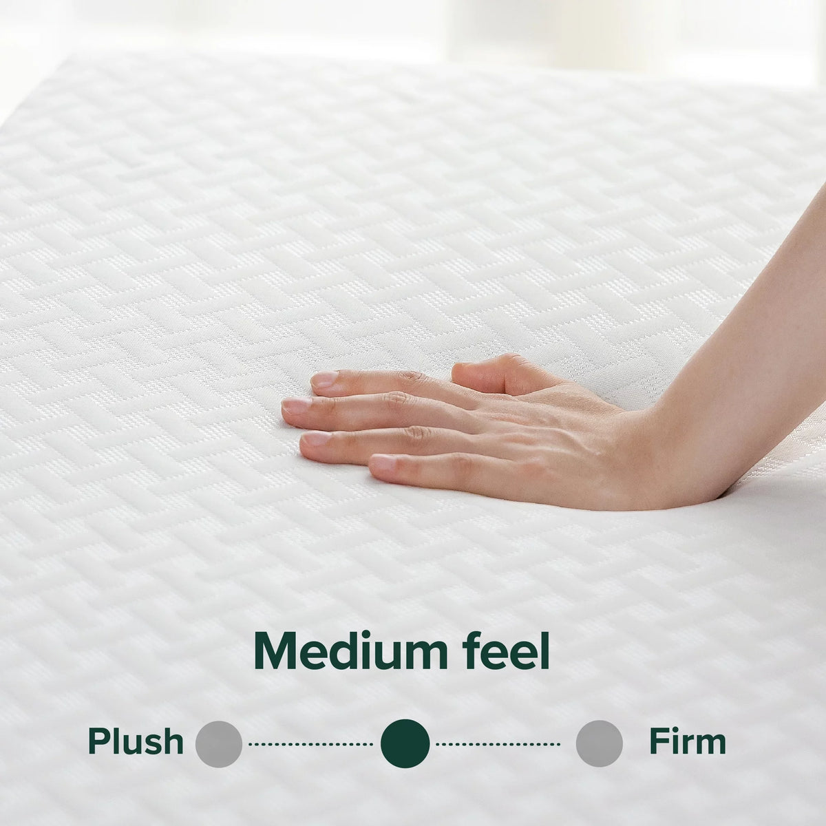 Queen Gel Memory Foam Mattress W974952
