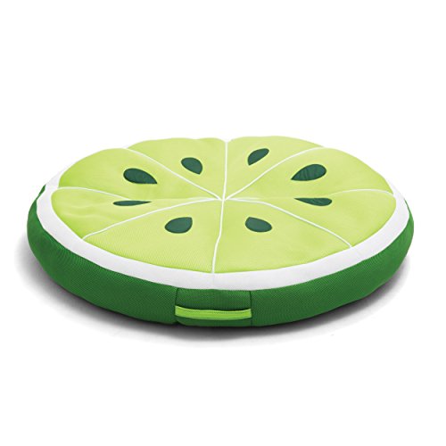 Round Pool Floats and Pool Noodles T768285