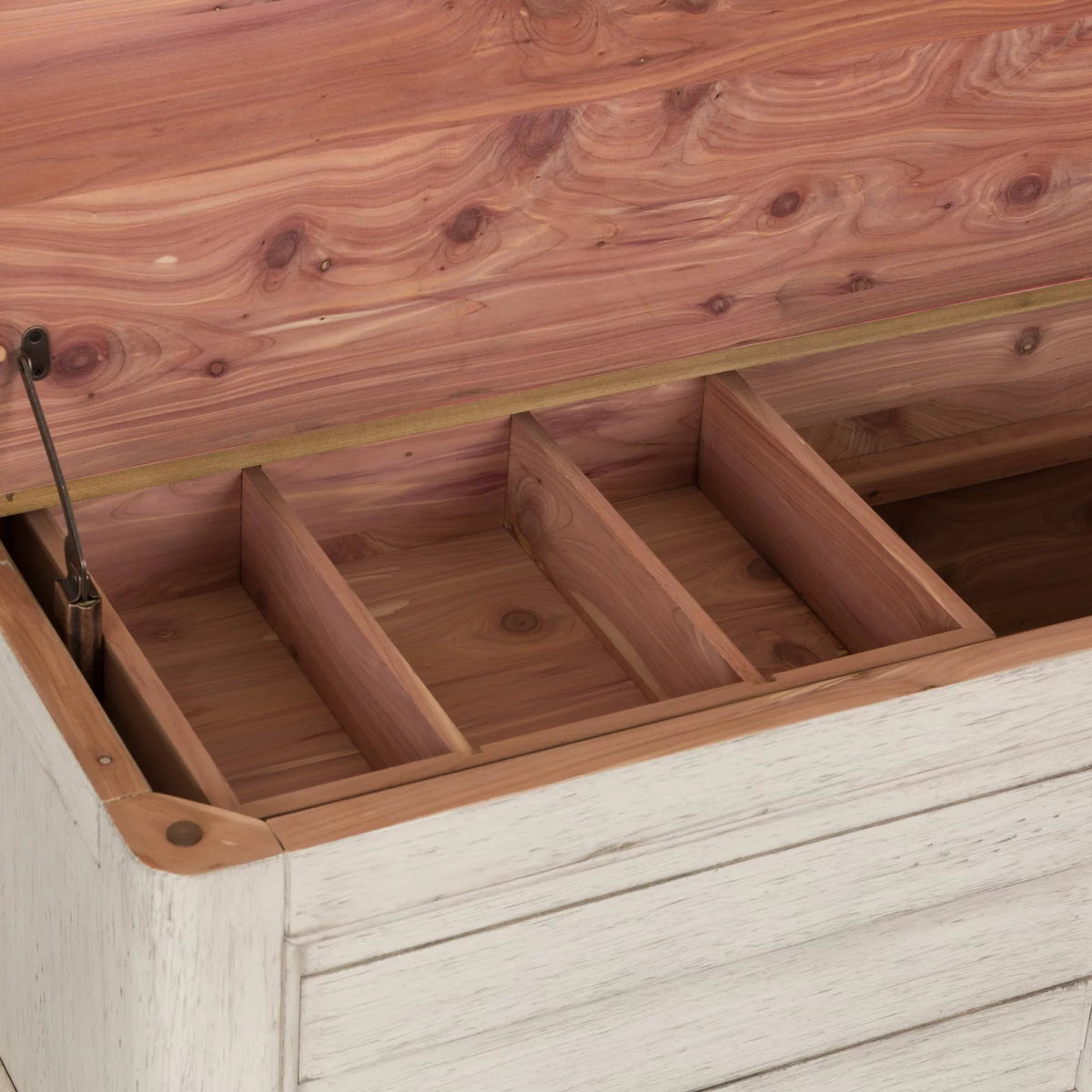 Storage Trunk A718909