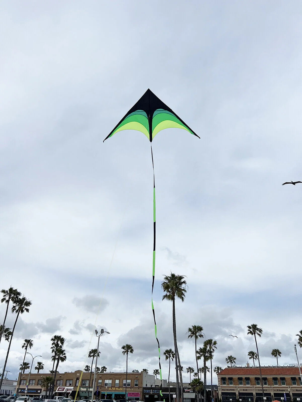 Giant Kite with Tail and String Q54666