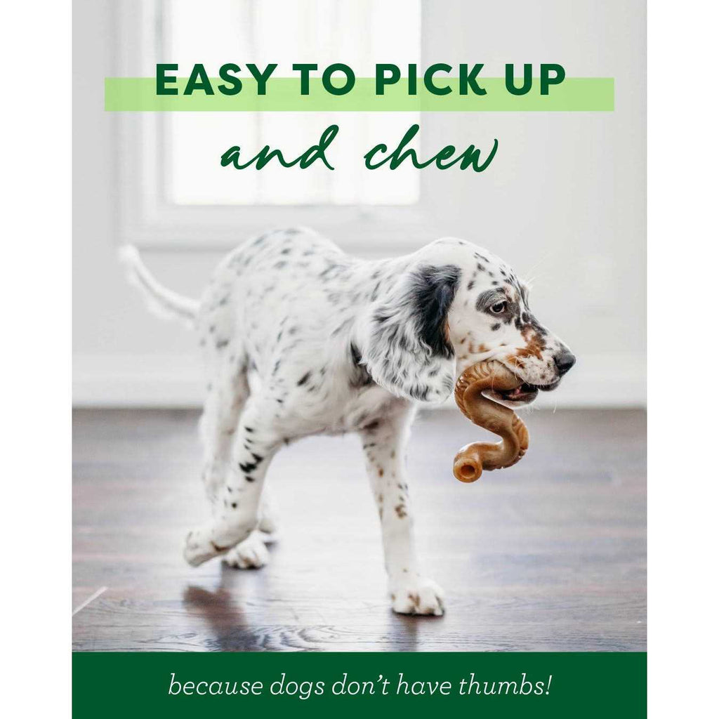 Dog Chew Y33536