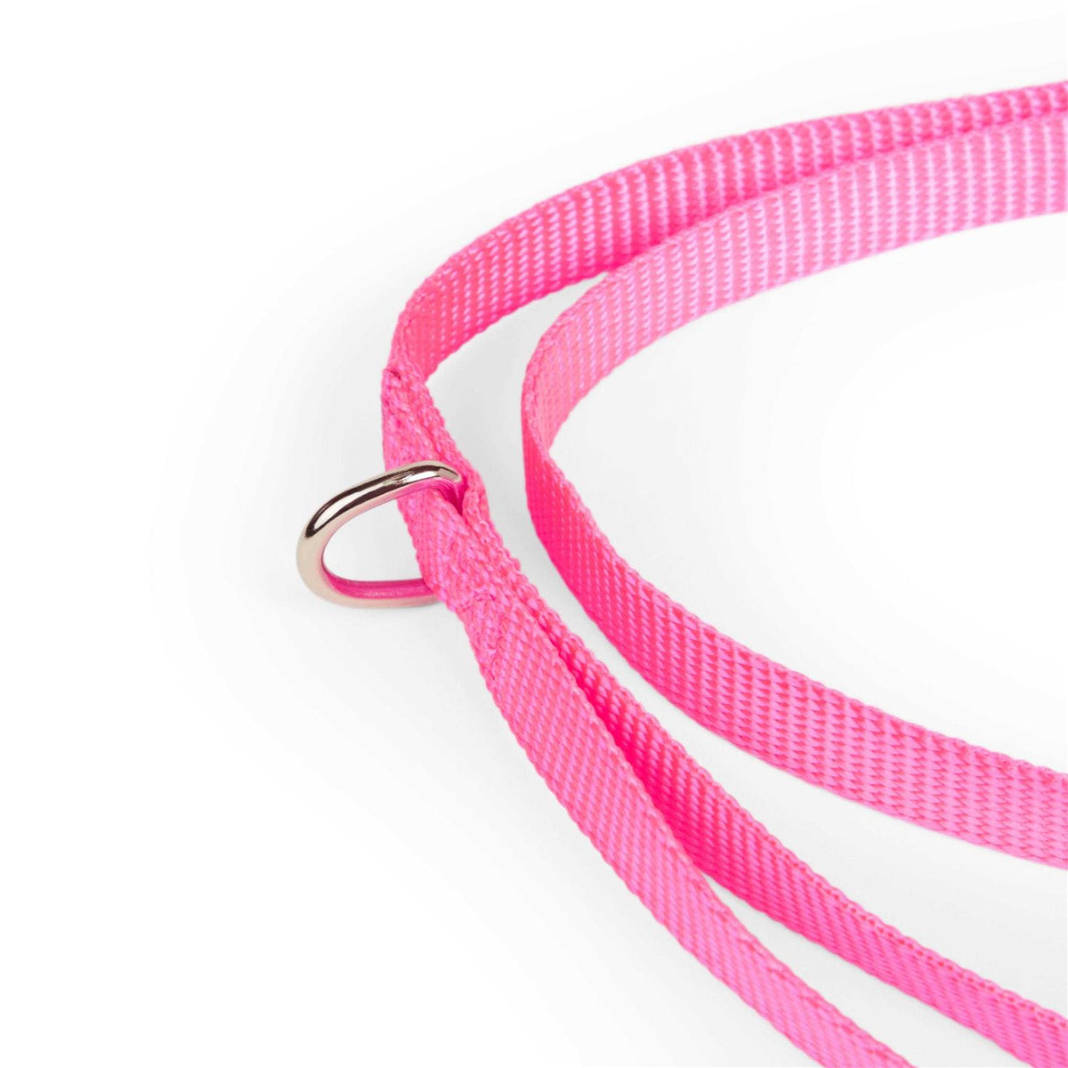 Dog Lead J569988