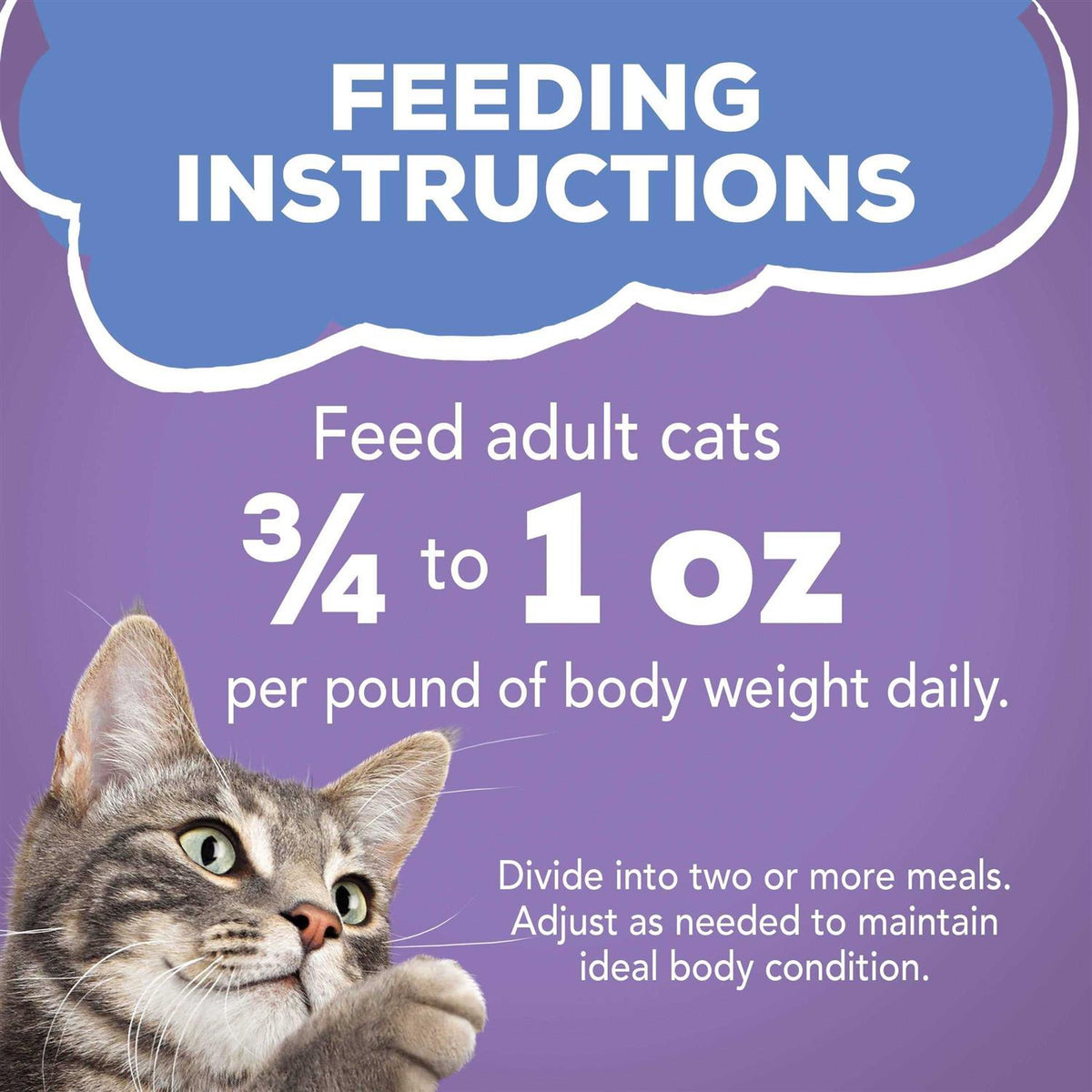 Turkey & Cheese Wet Cat Food Z596792