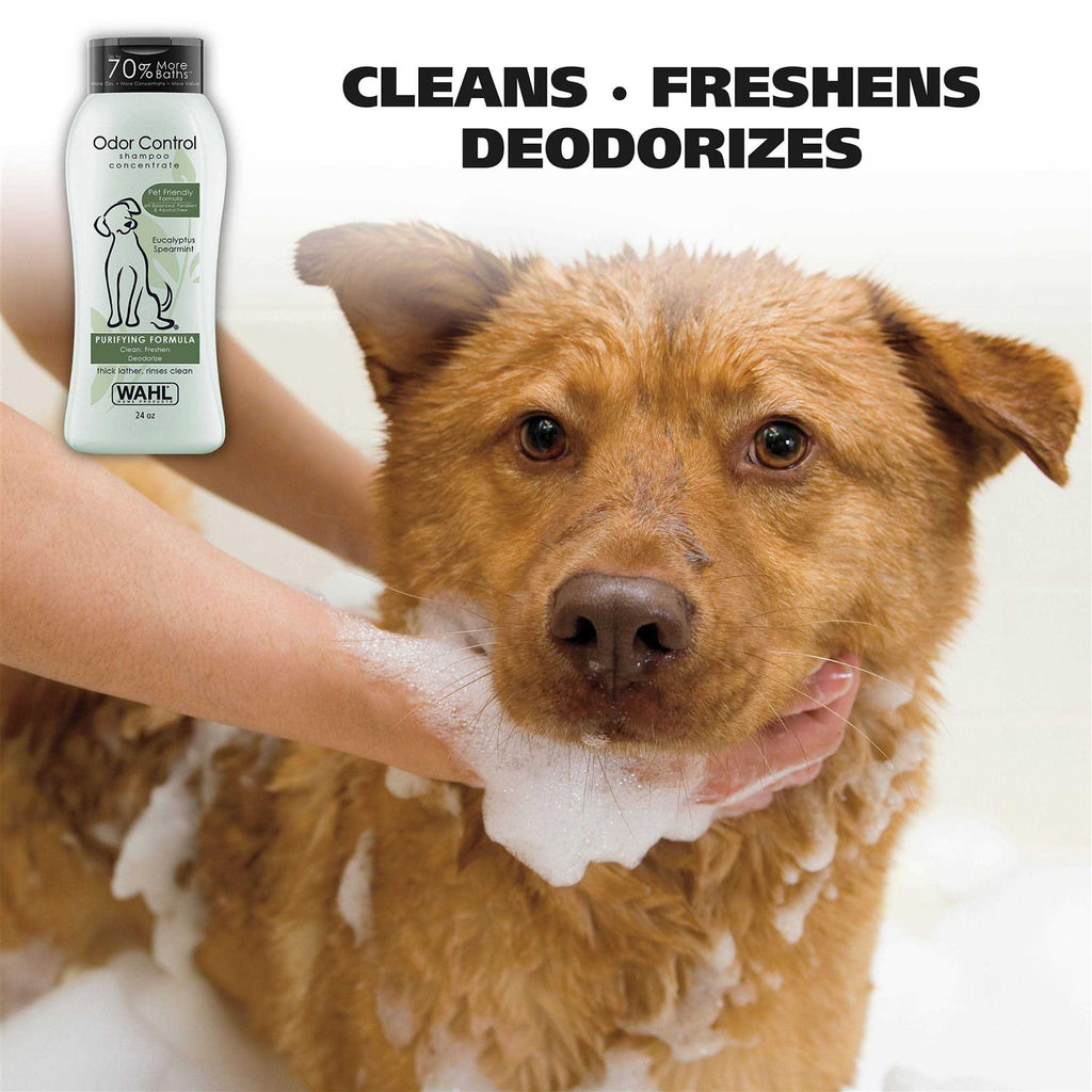 Odor Control Shampoo A4910