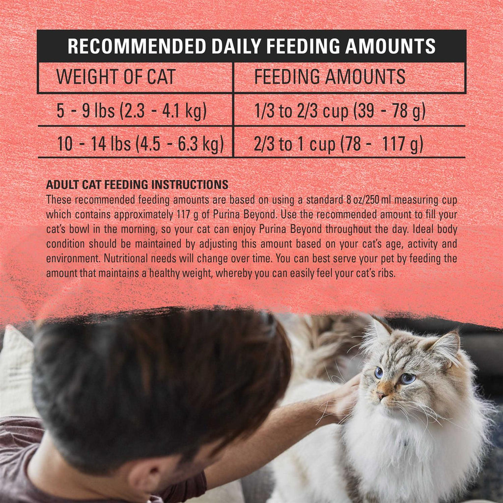 Cat Dry Food C107780