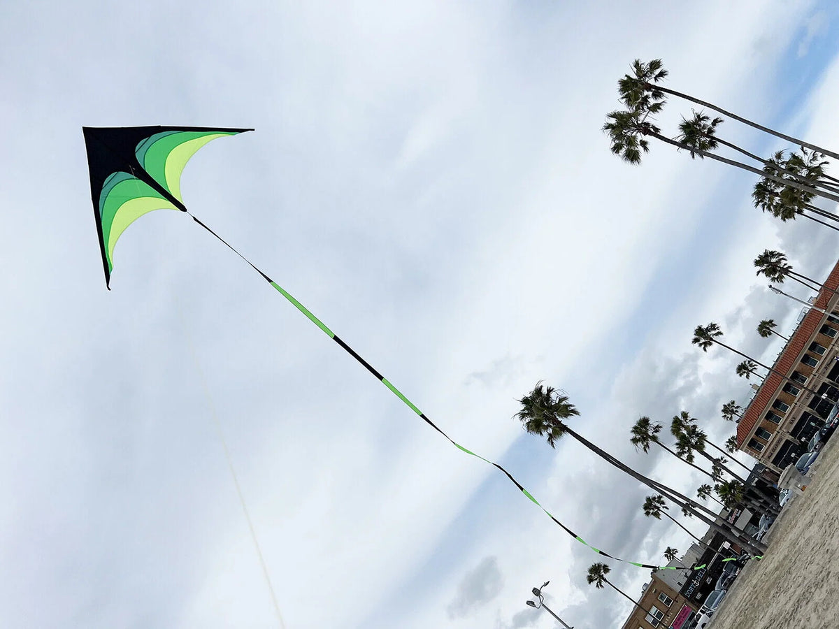 Giant Kite with Tail and String Q54666
