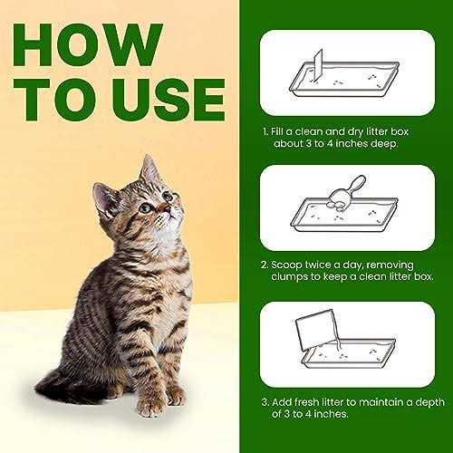 Clumping Cat Litter V581722