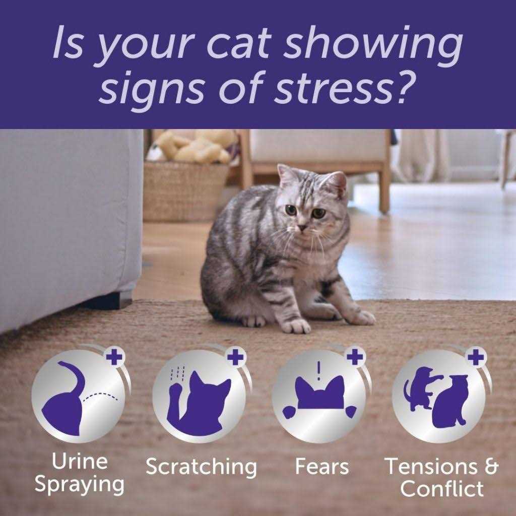 30 Day Cat Diffuser Refill S637