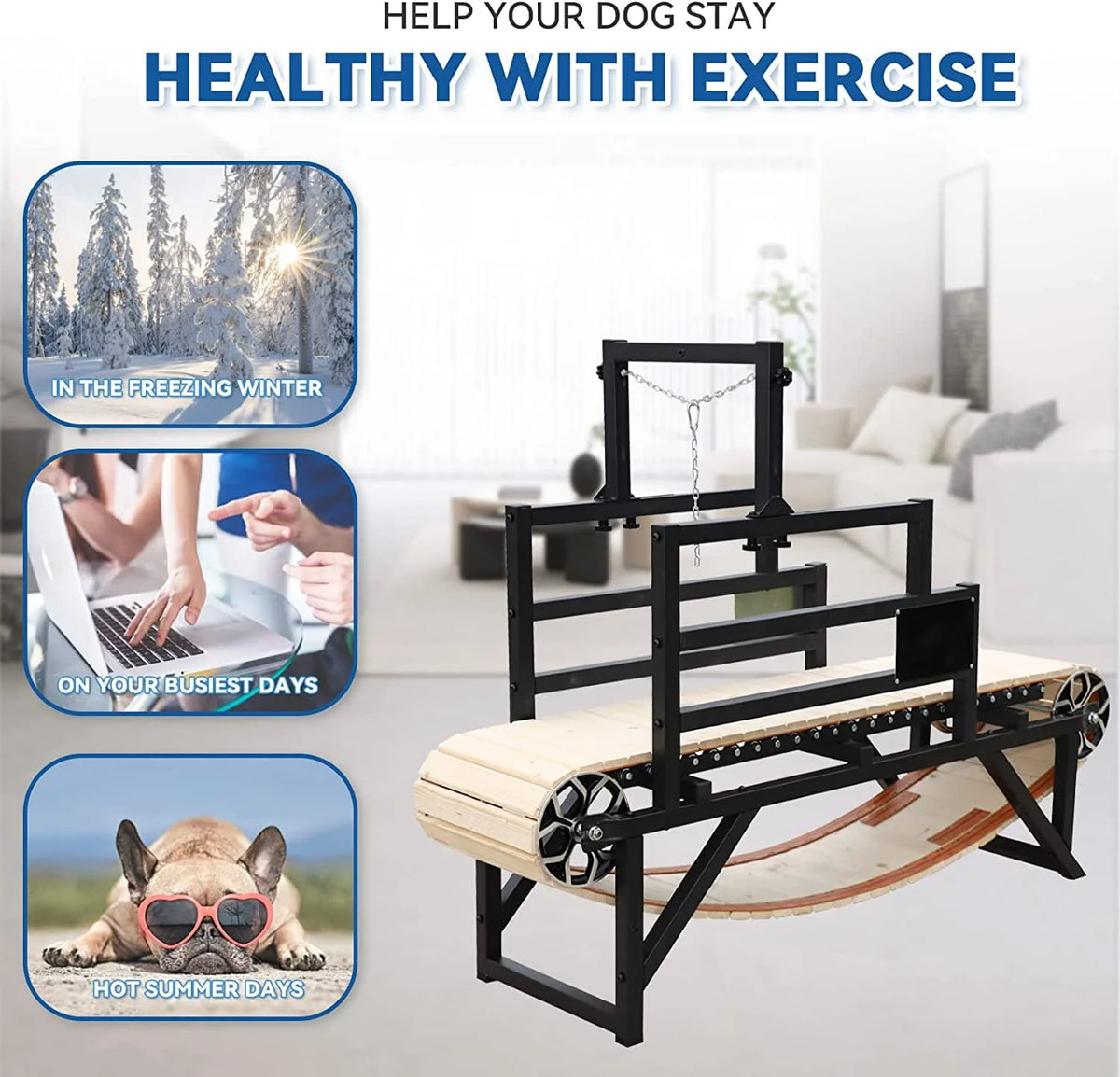 Dog Treadmill 10MPH C42574