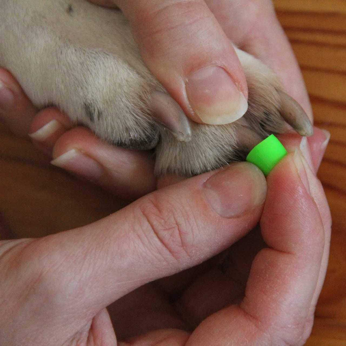 Large Toegrips for Dogs E741