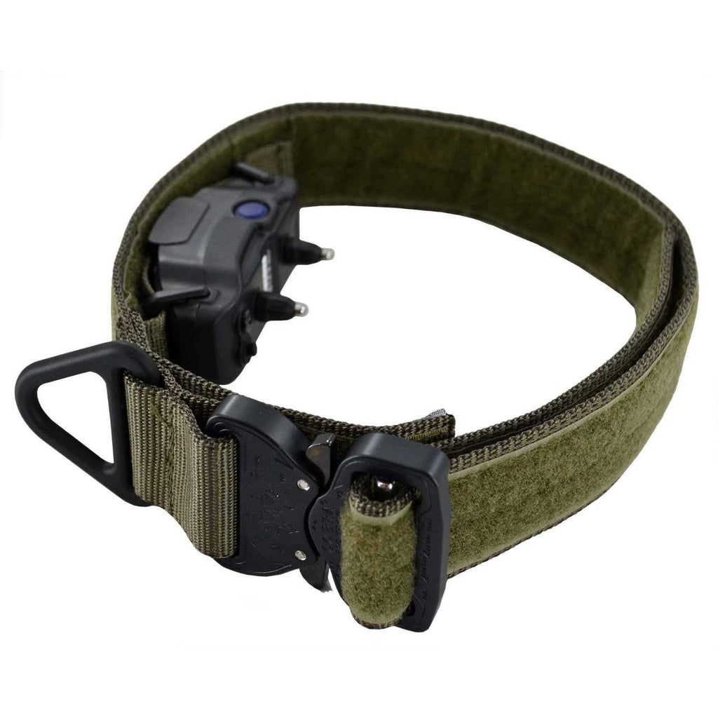 ID Collar P981