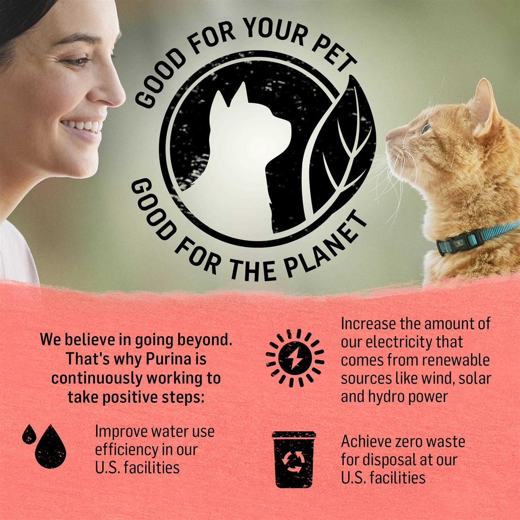 Cat Dry Food C107780