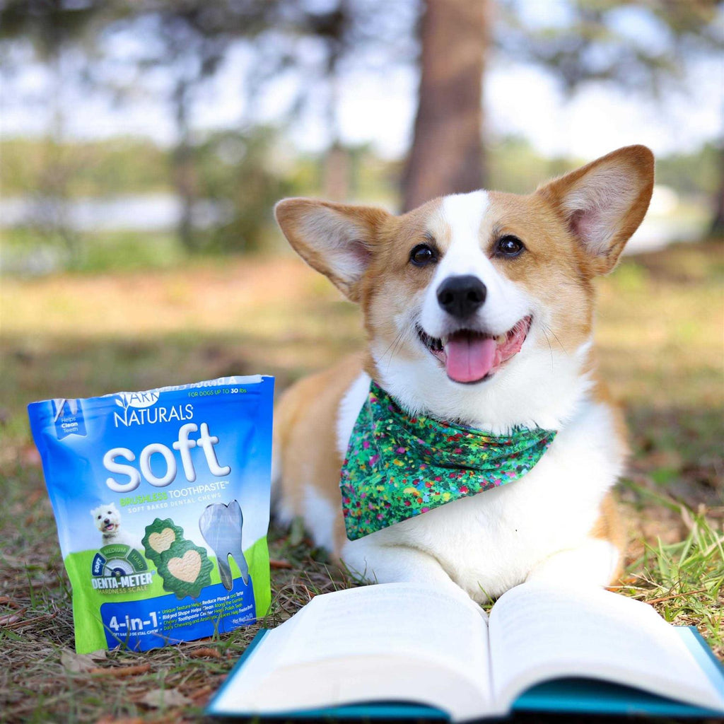 Dog Toothpaste S631