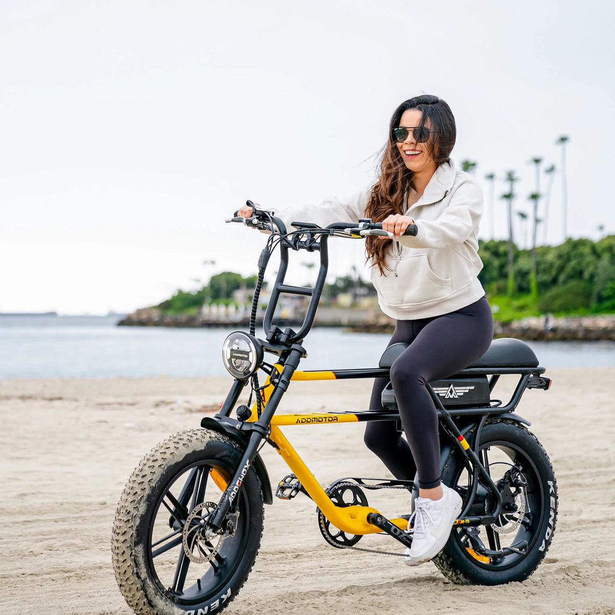 750W 20" Fat Tire Electric Bike N915745