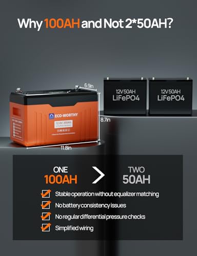12V 100AH LiFePO4 Lithium Battery with Bluetooth T191