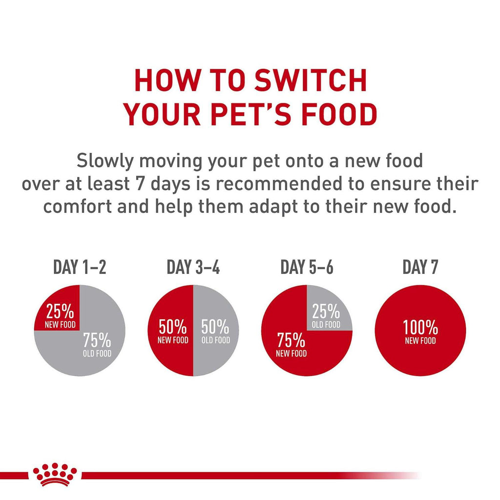 Adult Dry Dog Food T608788