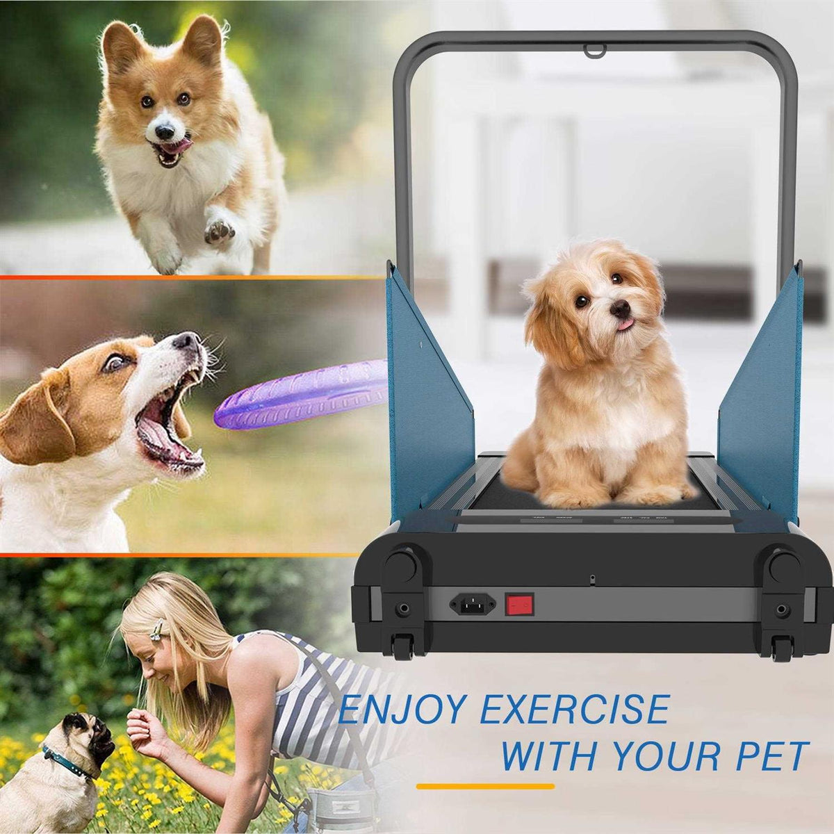 Small Dogs Medium Dogs Dog Treadmill U616