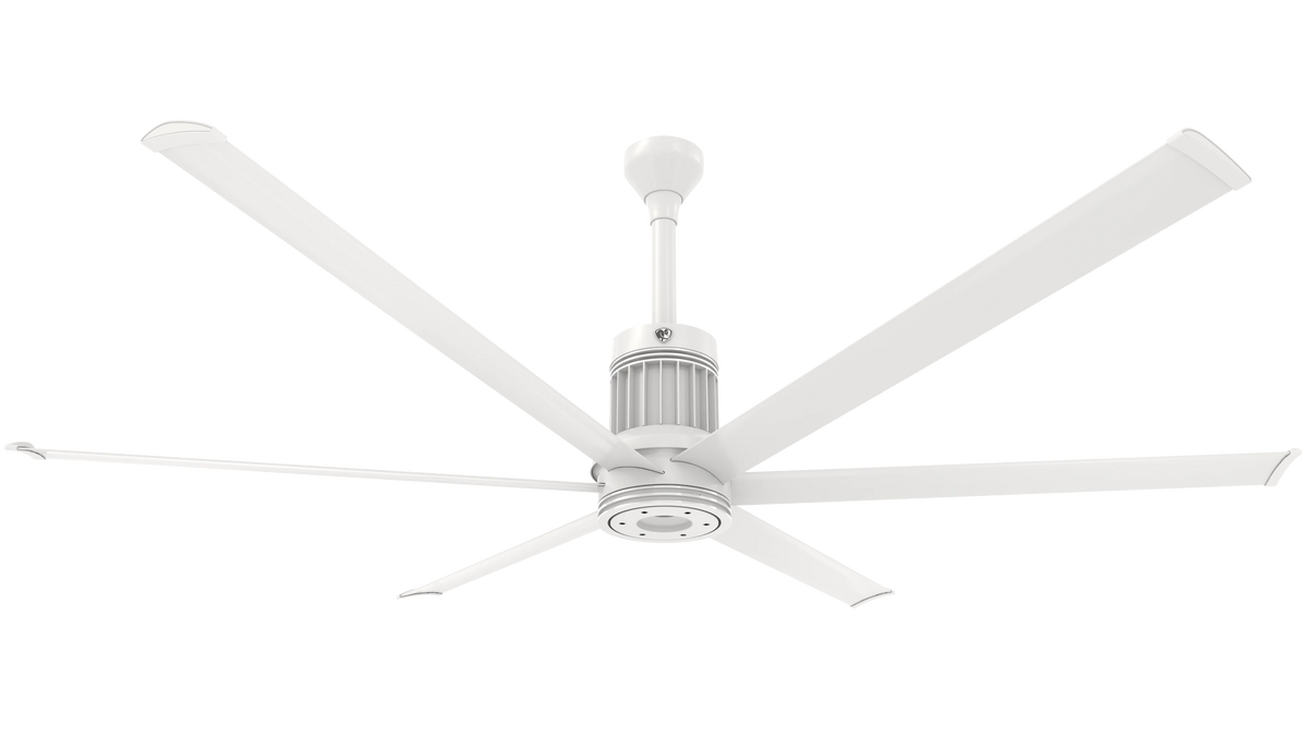 White Ceiling Fan R949