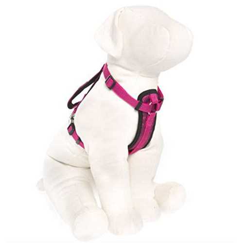 Padded Dog Harness S9929